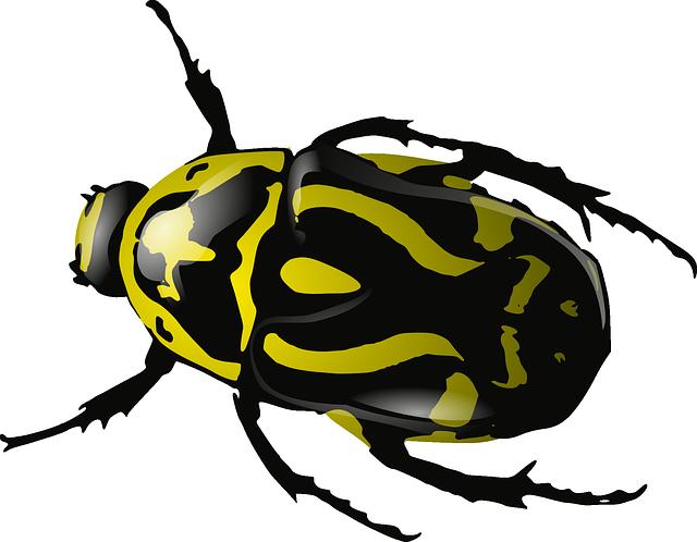 clipart bug