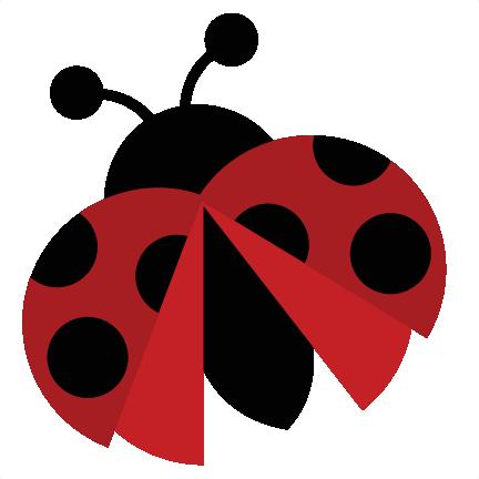 Download Ladybug Png Image HQ PNG Image