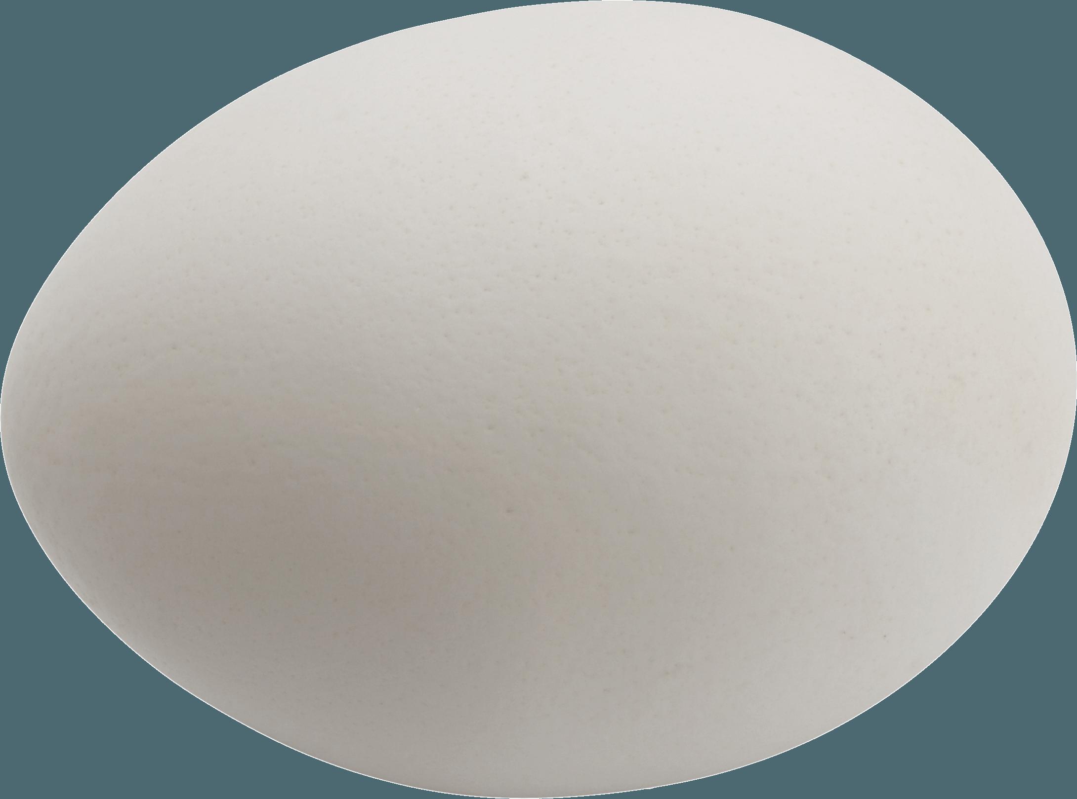 egg PNG transparent image download, size: 1000x1199px