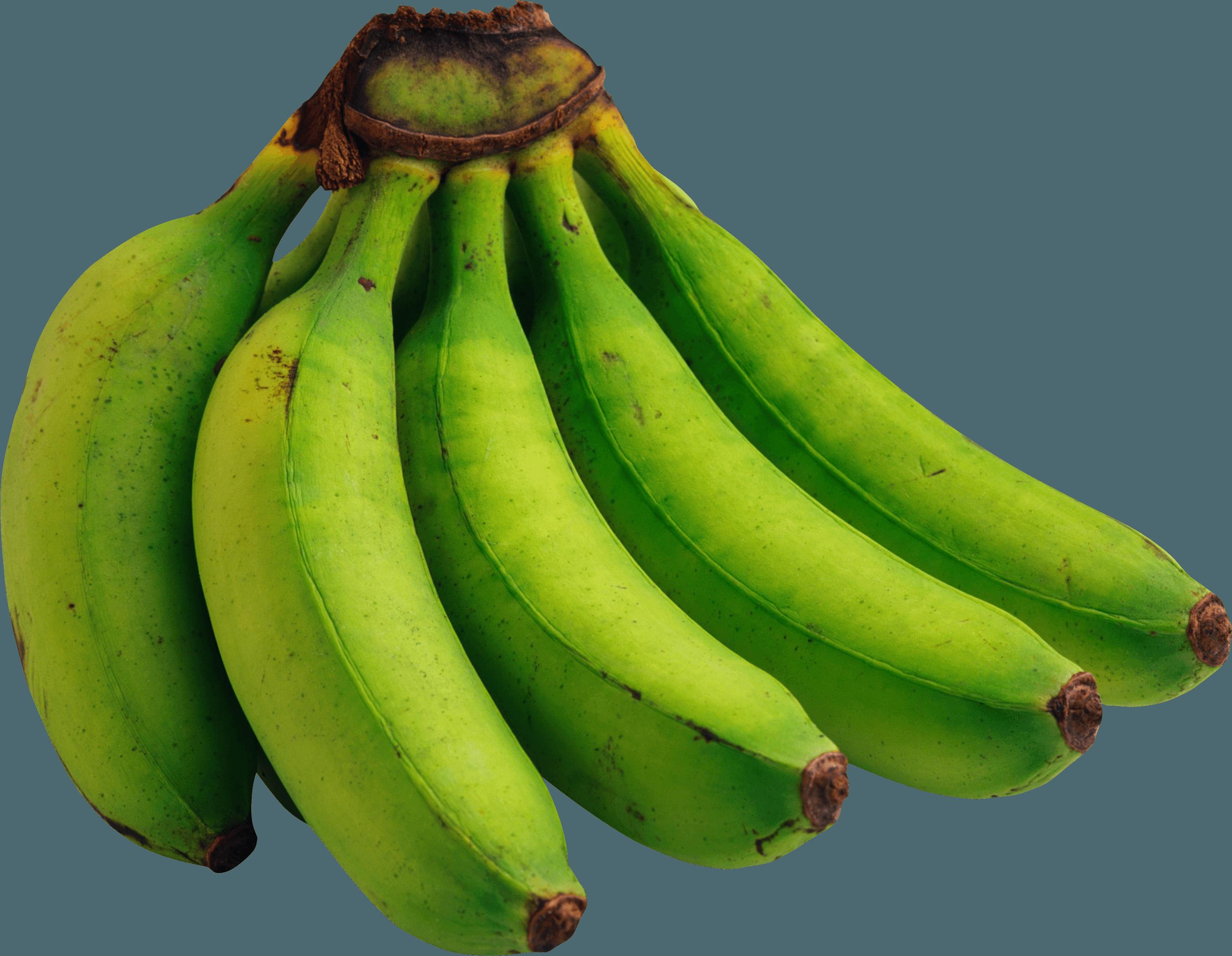 Green Bananas PNG Transparent Clipart​  Gallery Yopriceville -  High-Quality Free Images and Transparent PNG Clipart