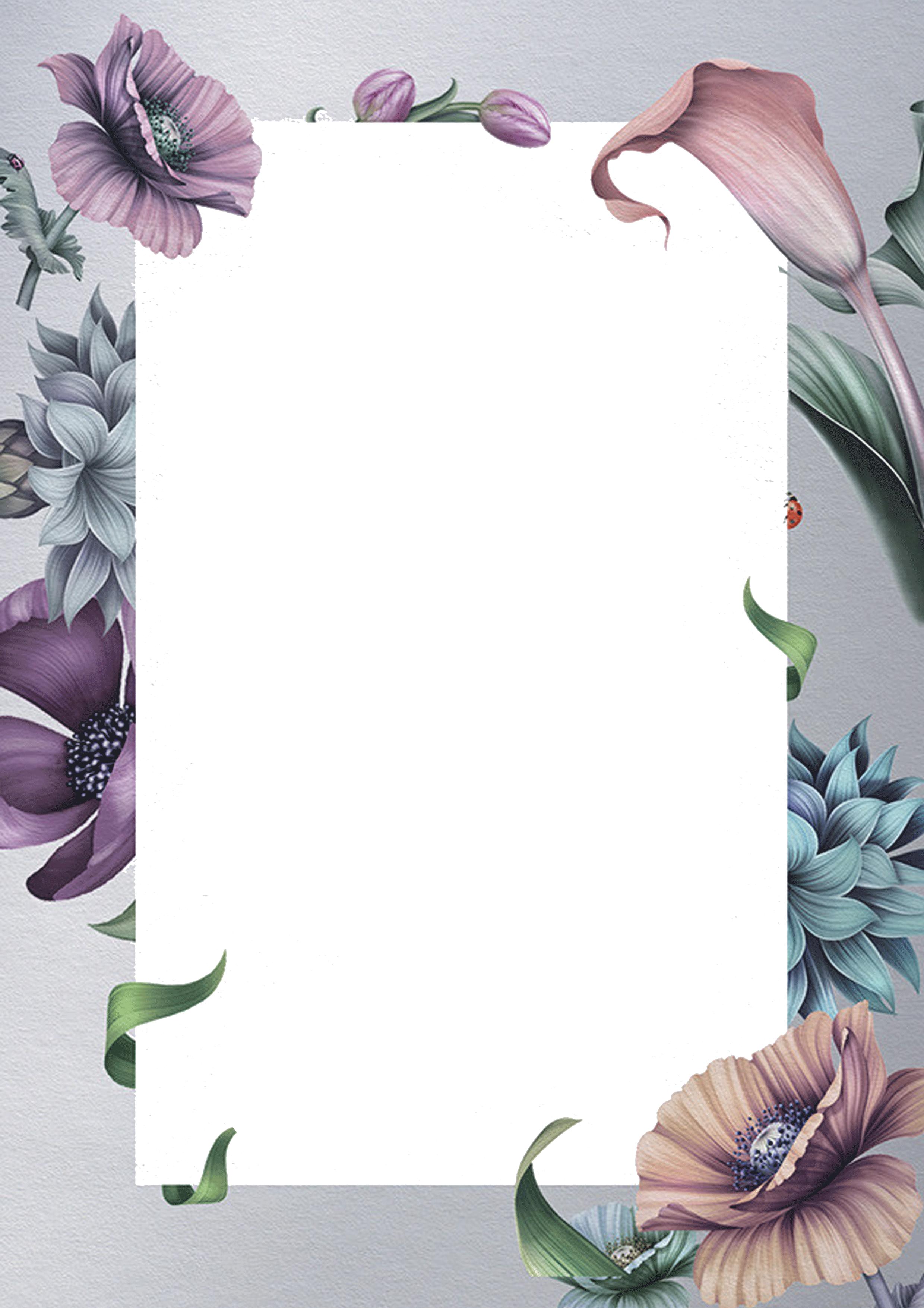 beautiful frame png format