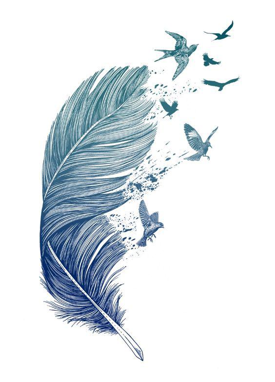 feather with birds drawing