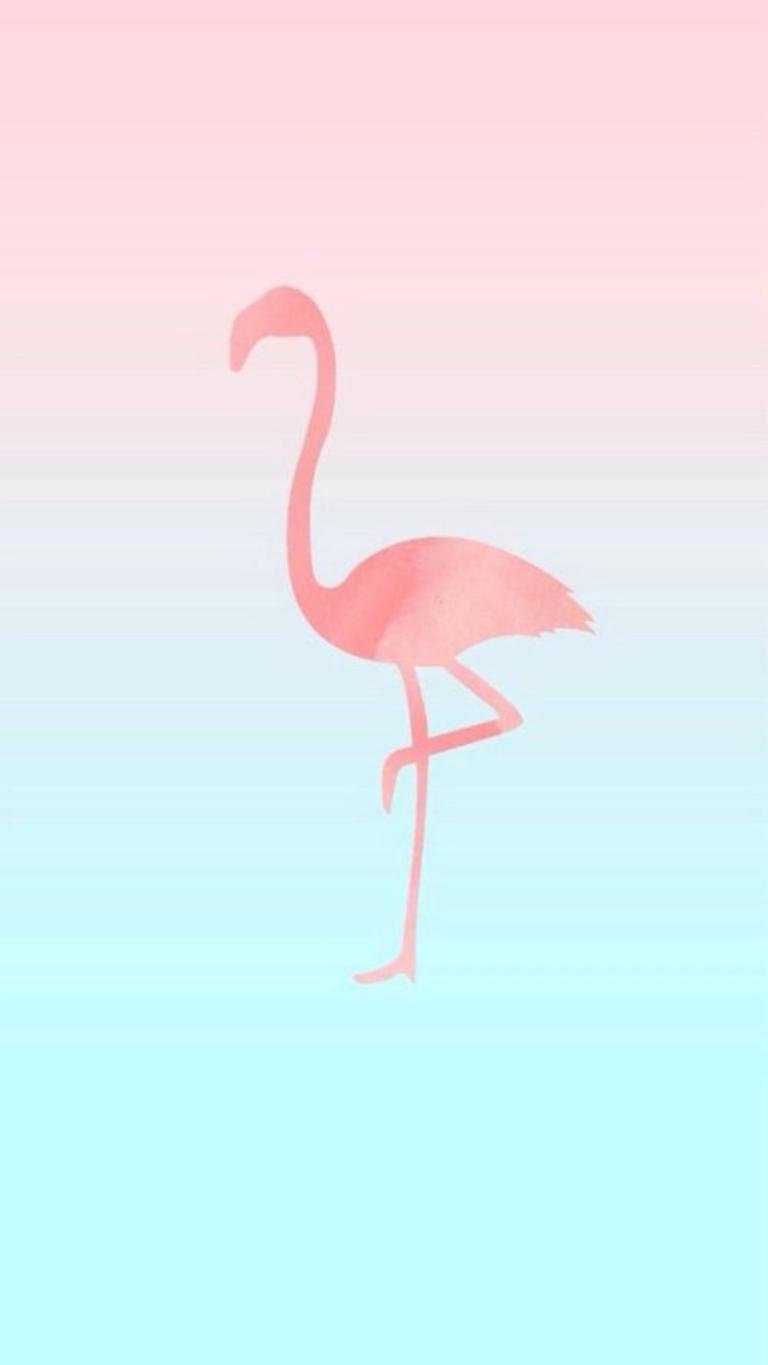 Download Flamingo Flamingos Iphone Wallpaper Desktop Free HQ Image HQ PNG  Image | FreePNGImg