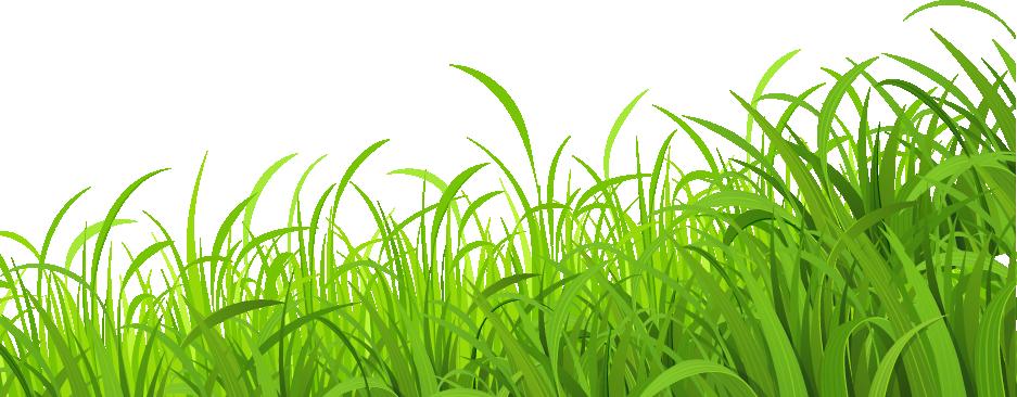 Download Fresh Lawn Wallpaper Grass Meadow Download HD PNG HQ PNG Image |  FreePNGImg