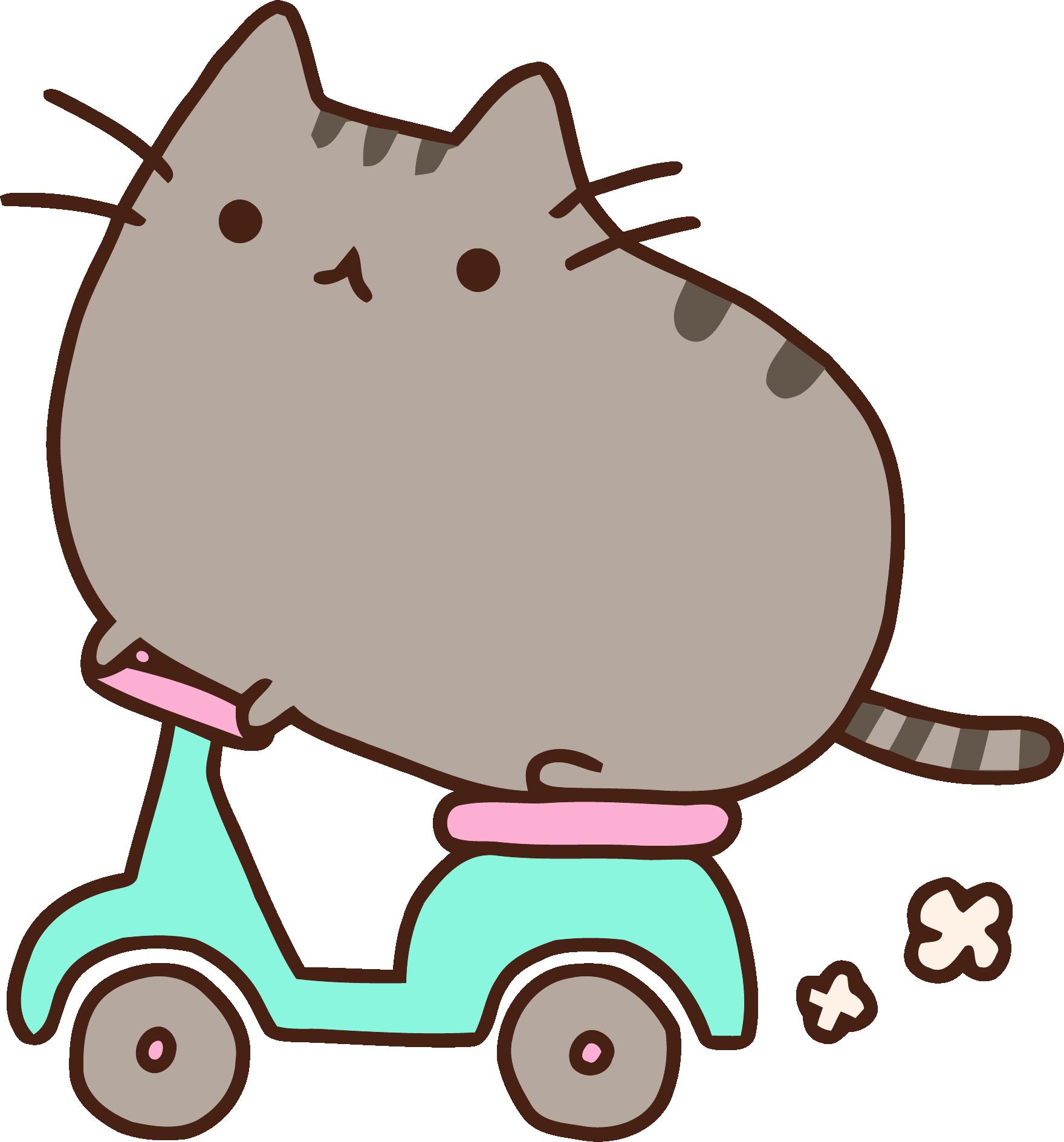 Cat Icon Images  Free Photos, PNG Stickers, Wallpapers