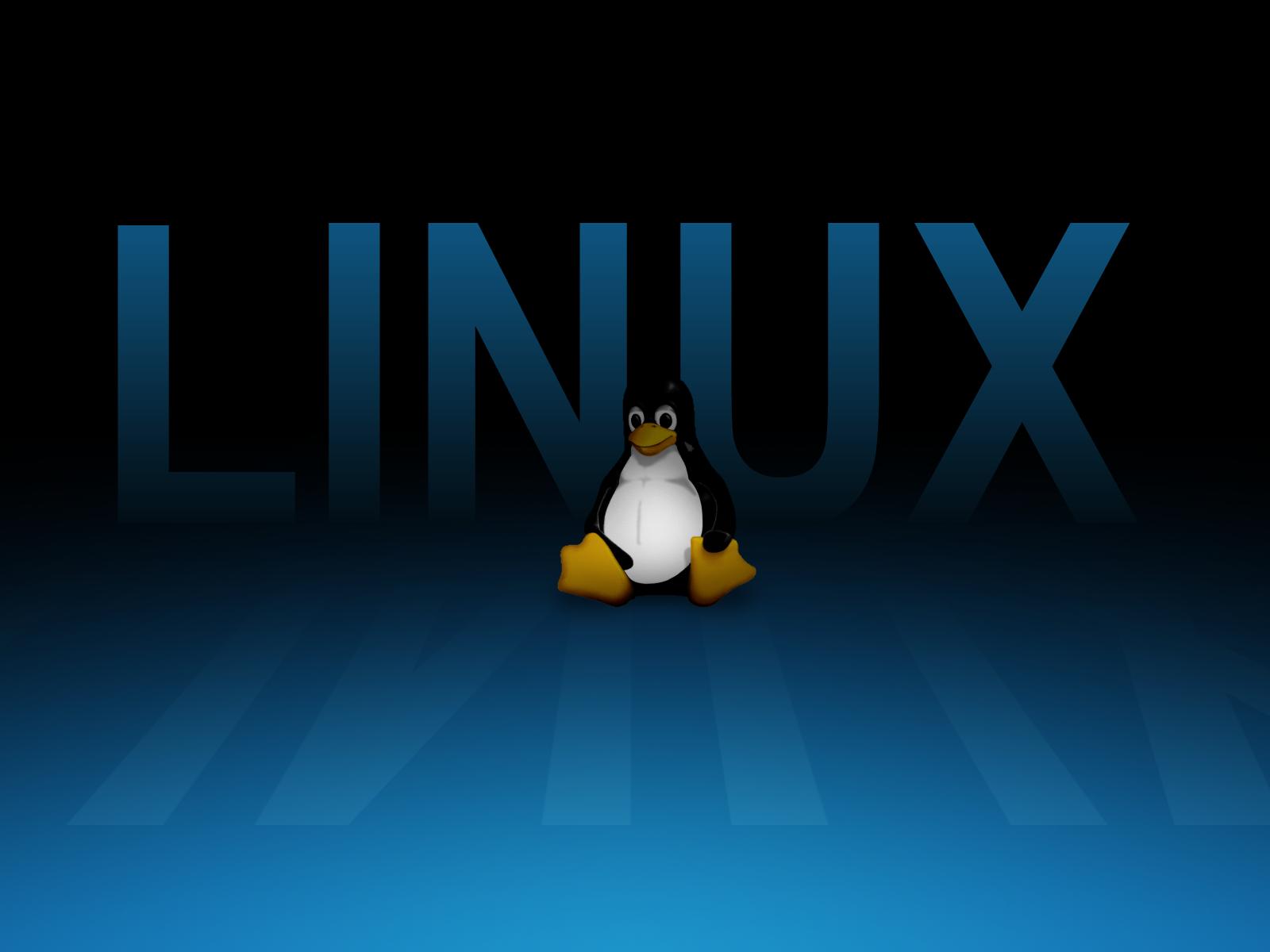 Download Tux Wallpaper Desktop Linux Resolution Display Penguin Hq Png Image Freepngimg