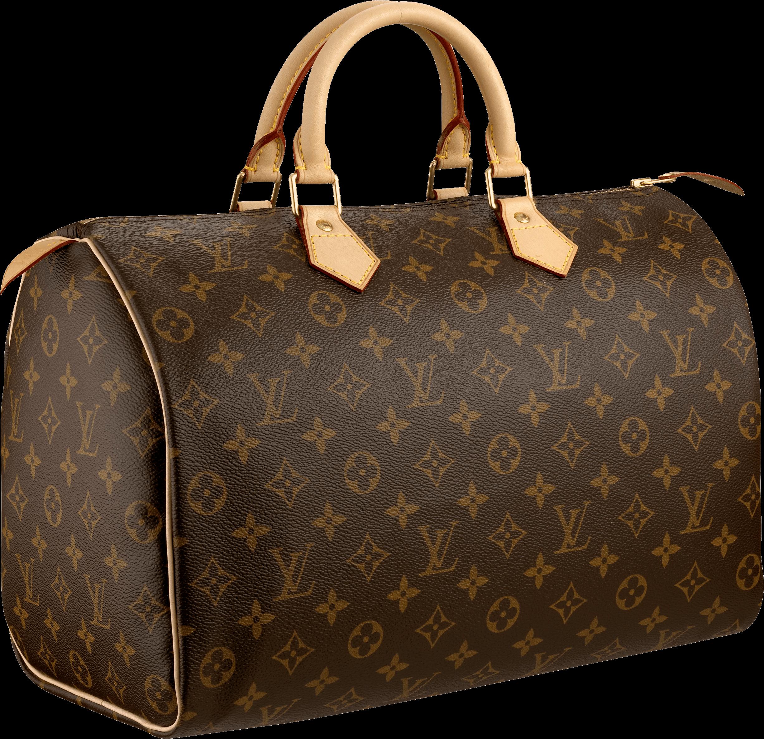 louis vuitton luggage png