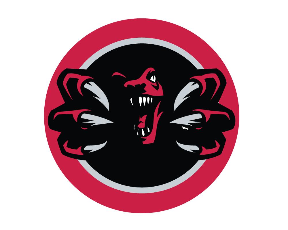 raptors logo png