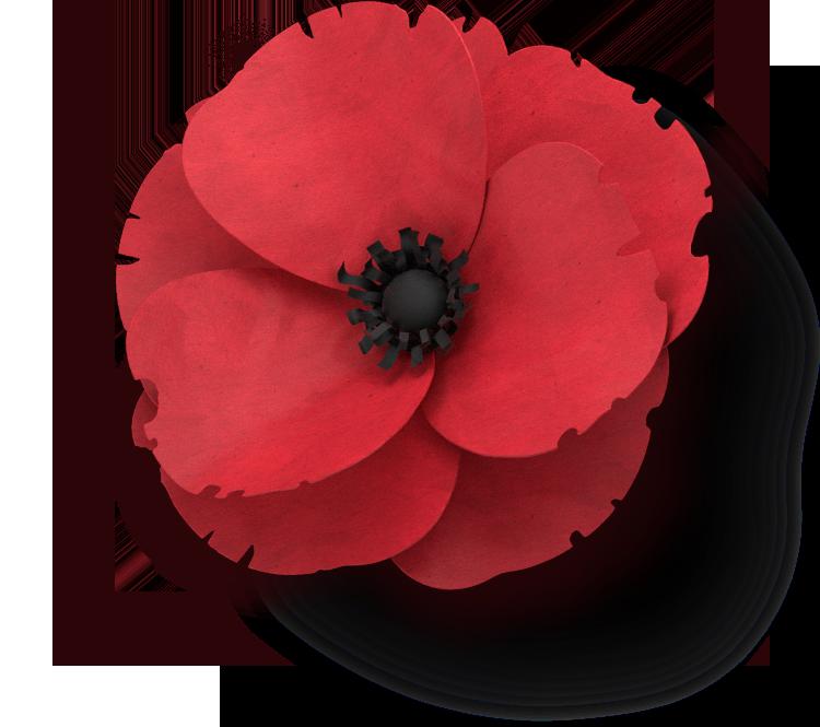 Memorial Day Poppy Flower png download - 812*773 - Free Transparent In  Flanders Fields png Download. - CleanPNG / KissPNG