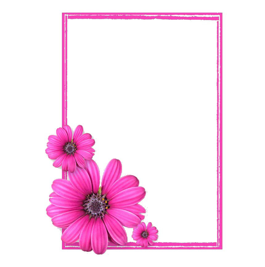 pink border frame