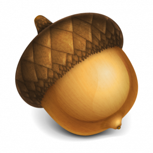 Acorn Png 7 PNG Image