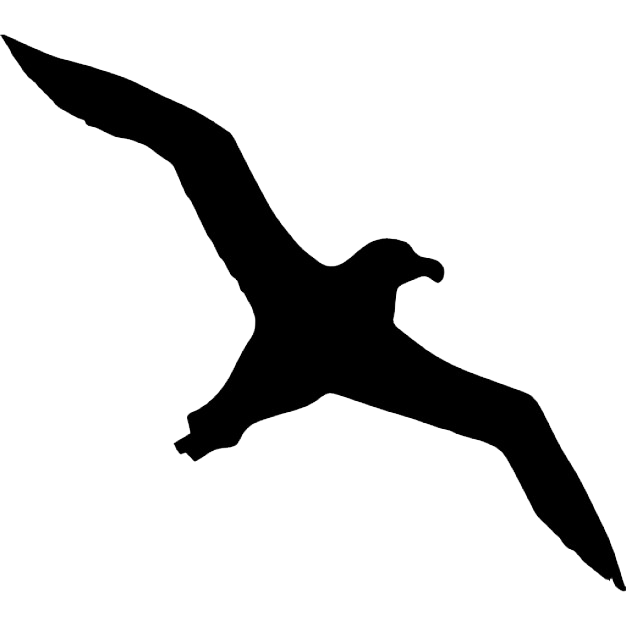 Albatross Transparent Background PNG Image