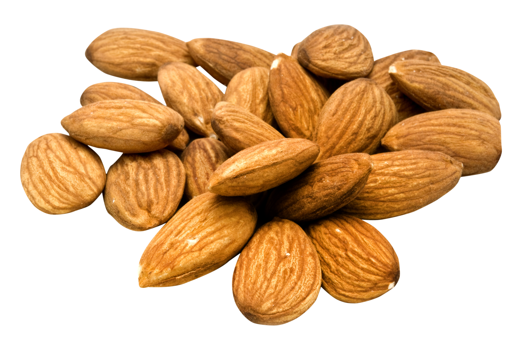 Nut Almond Free Clipart HD PNG Image