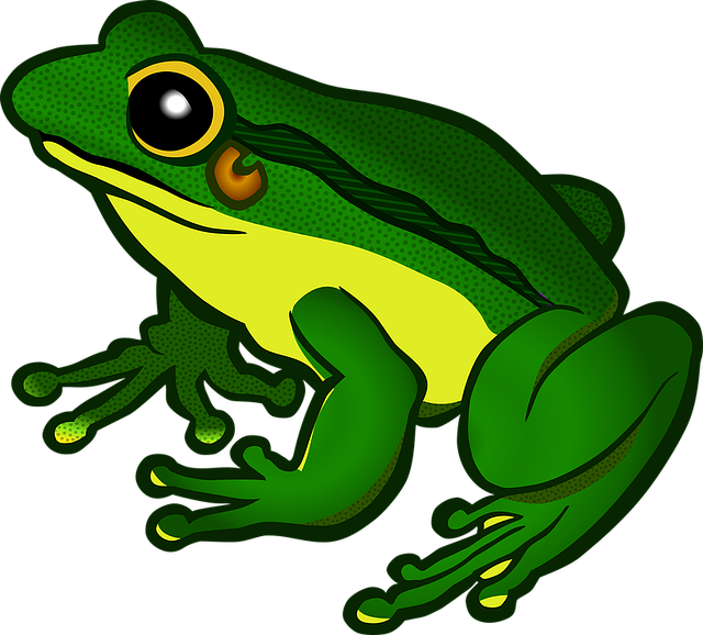Amphibian File PNG Image