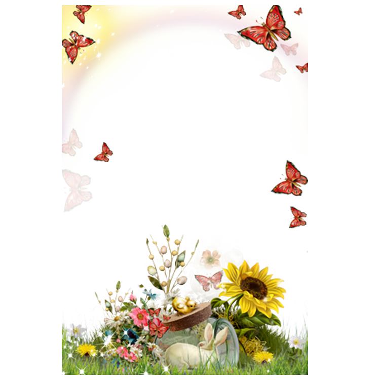 Picture Flower Sunflower Frame Android Photography PNG Image