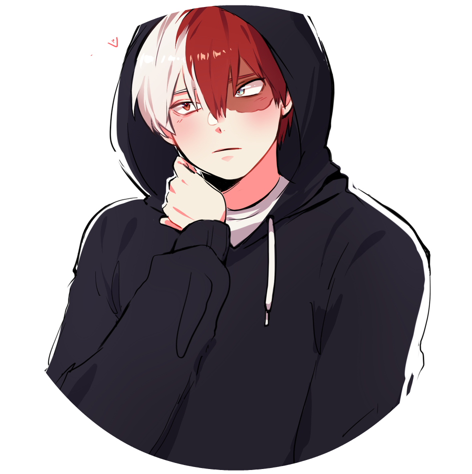 Todoroki PNG File HD PNG Image