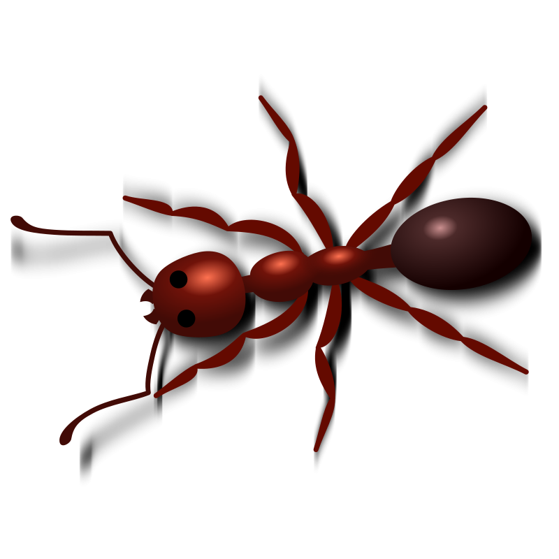 Ant Png PNG Image