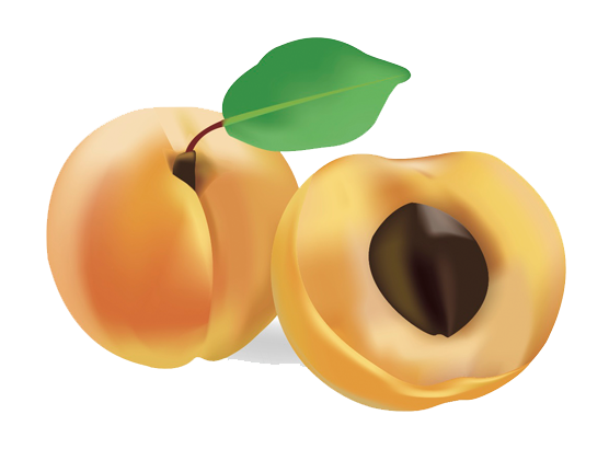 Apricot Png Image PNG Image