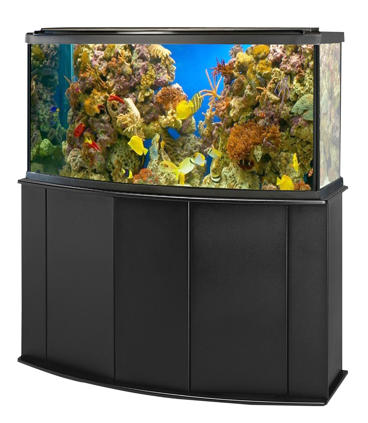 Large Fish Tank Aquarium Download HD PNG Image