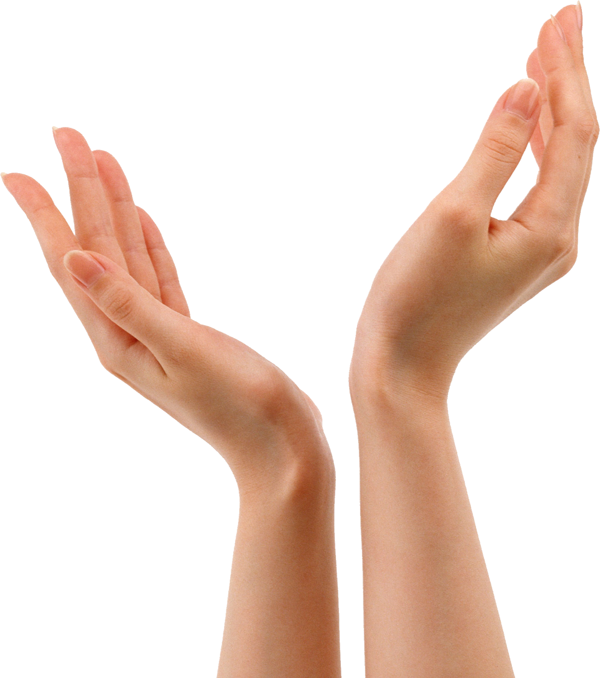 Thumb Wallpaper Desktop Finger Model Hand PNG Image
