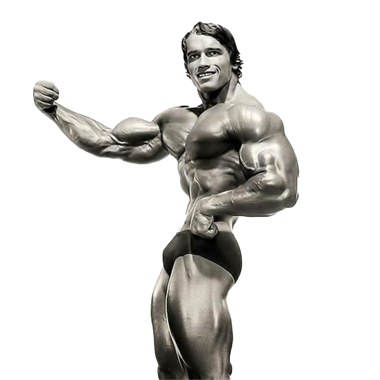 Schwarzenegger Arnold Free Clipart HD PNG Image