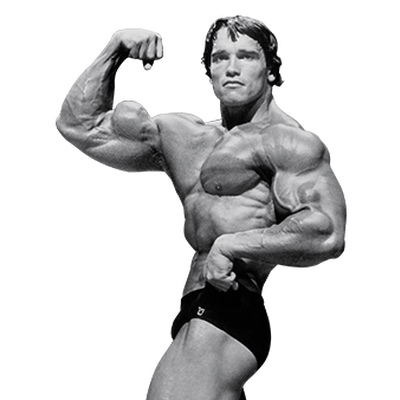 Arnold Schwarzenegger File PNG Image