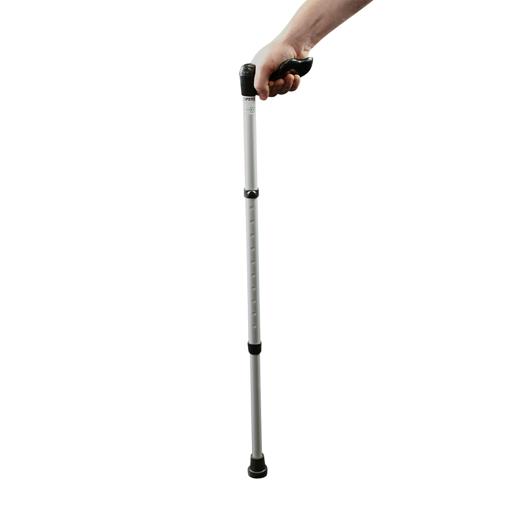 Walking Stick HD PNG Download Free PNG Image