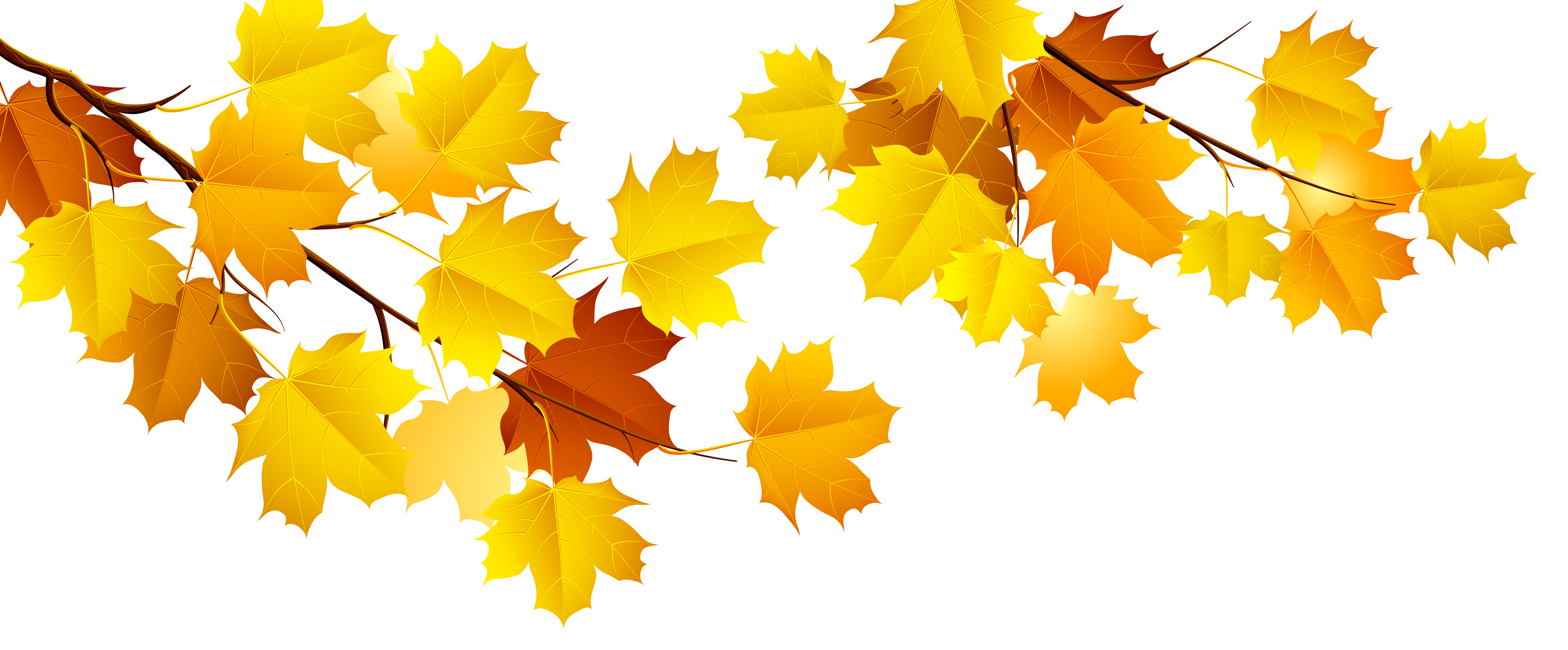 Autumn Png Image PNG Image