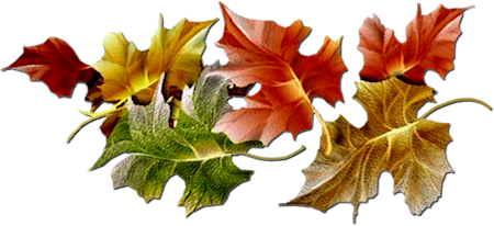 Autumn Png Hd PNG Image