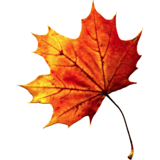 Fall Autumn Leaves Transparent PNG Image