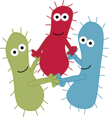 Bacteria PNG Image