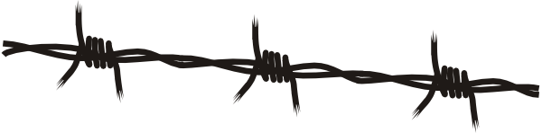 Barbwire PNG Image
