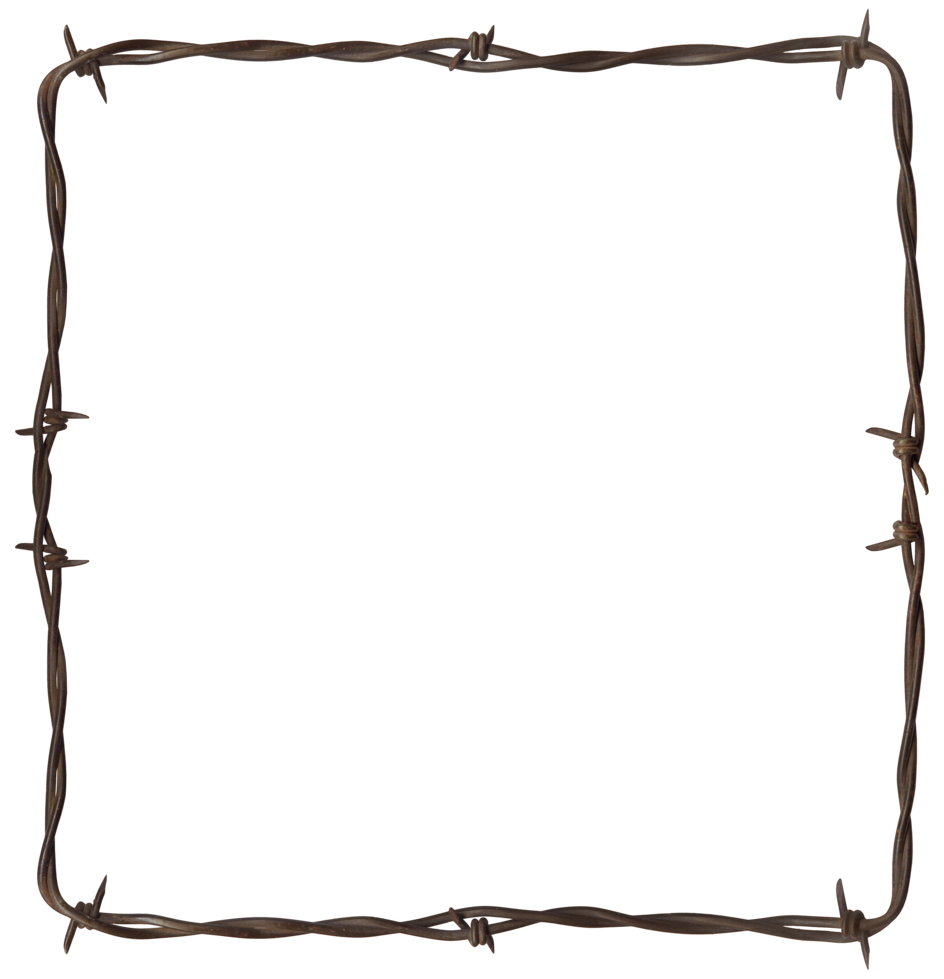 Barbwire PNG Image