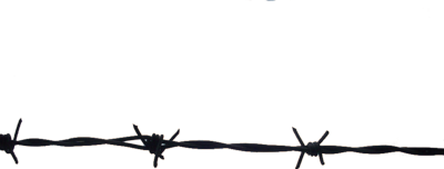 Barbwire PNG Image