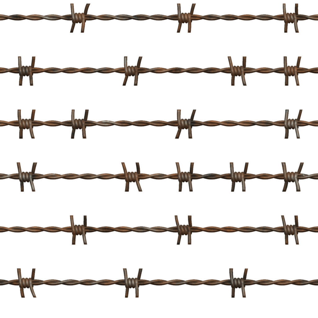 Barbwire PNG Image