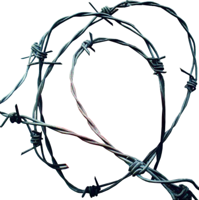 Barbwire PNG Image