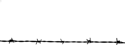 Barbwire PNG Image