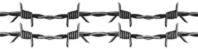 Barbwire PNG Image
