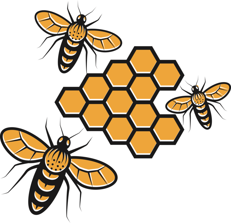 Honey Vector Bee Download HD PNG Image