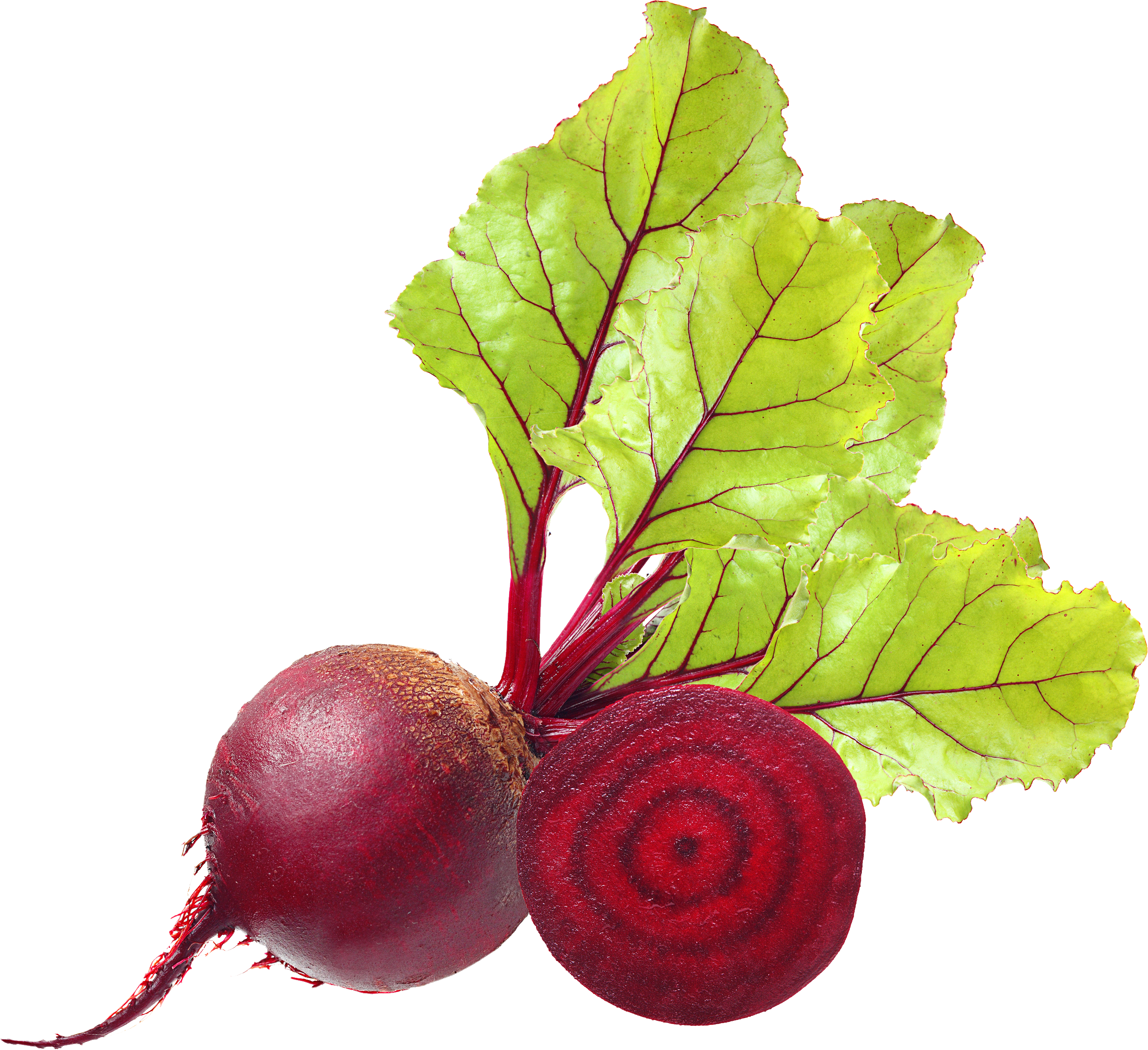 Beet PNG Image