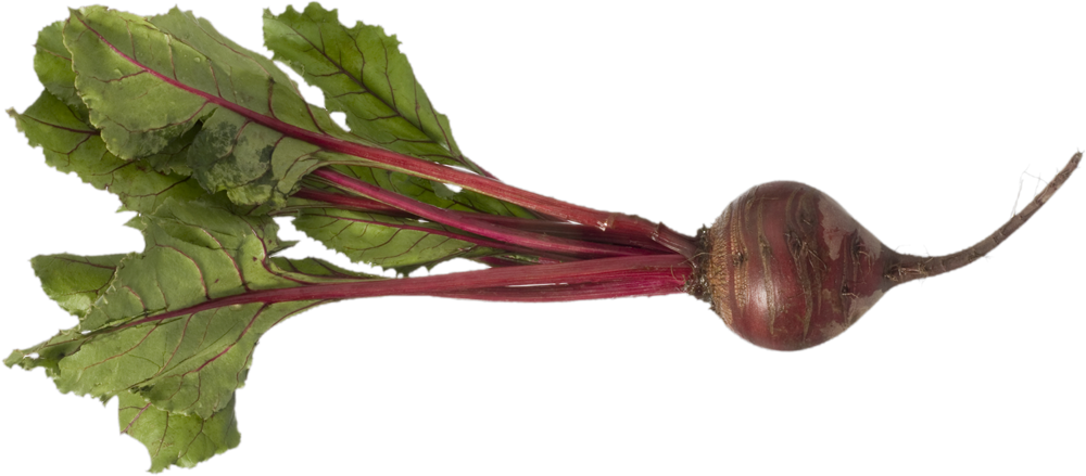 Beet PNG Image