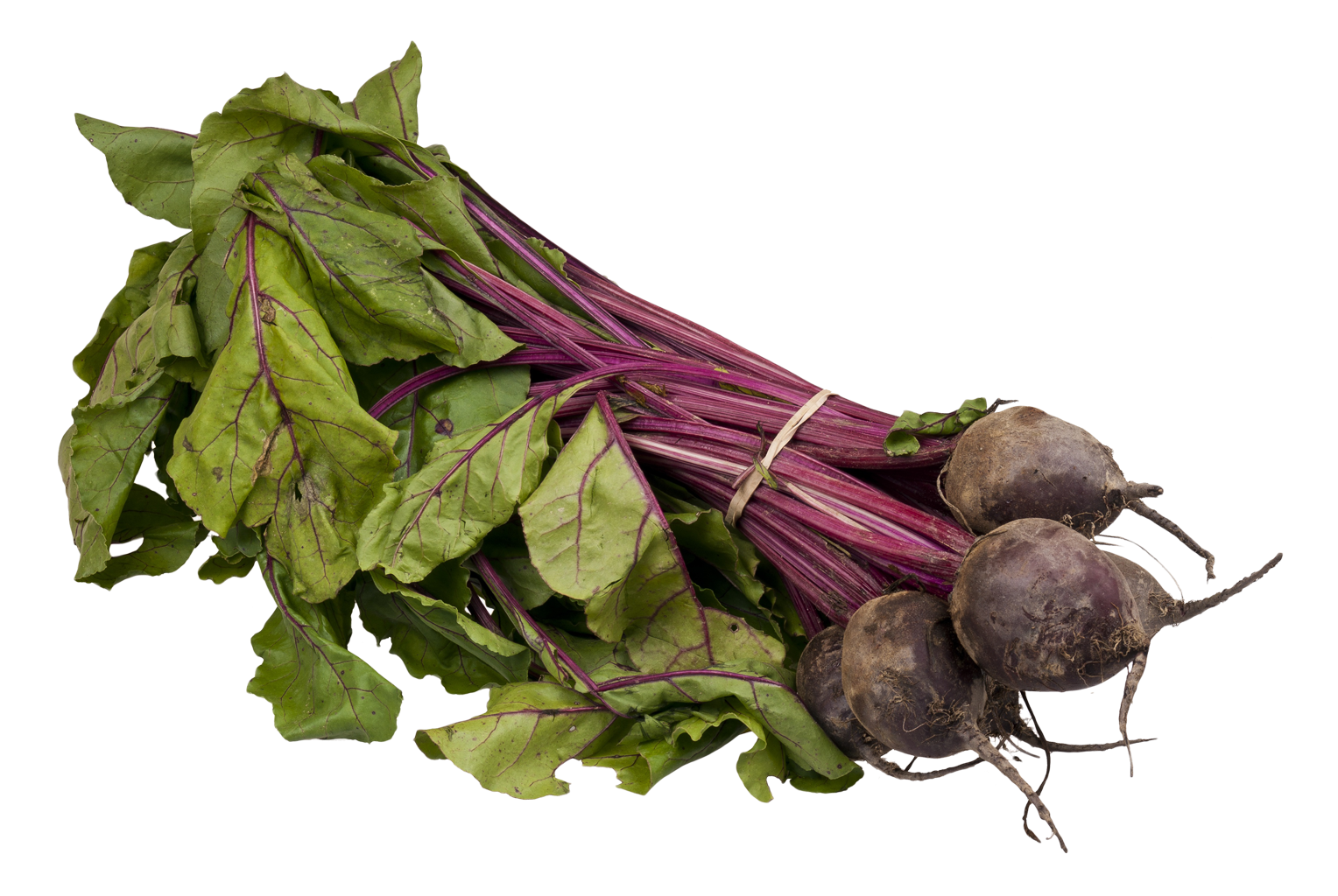 Beet PNG Image