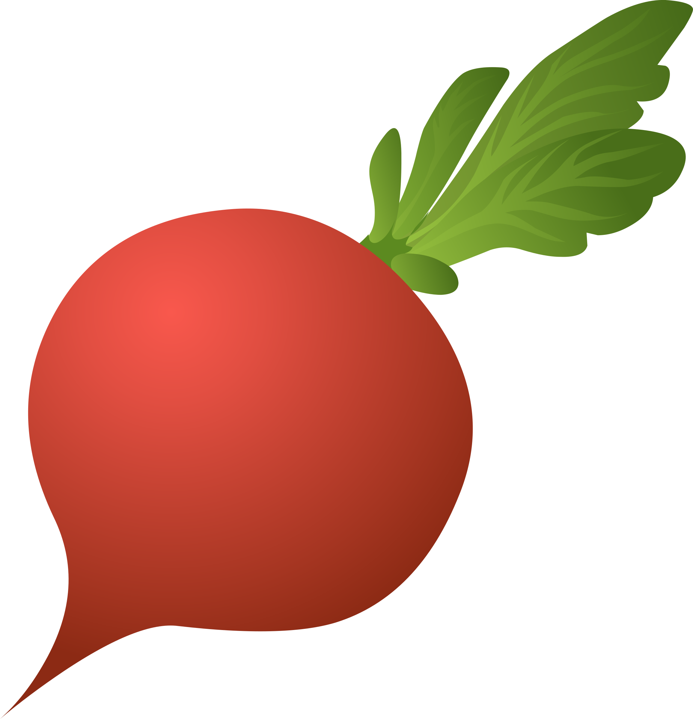 Beet PNG Image