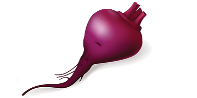 Beet PNG Image