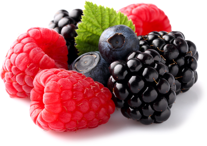 Berries Free Download PNG Image