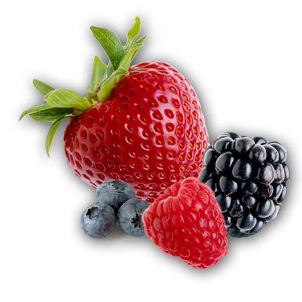 Berries Transparent Picture PNG Image