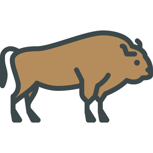 Bison PNG Image
