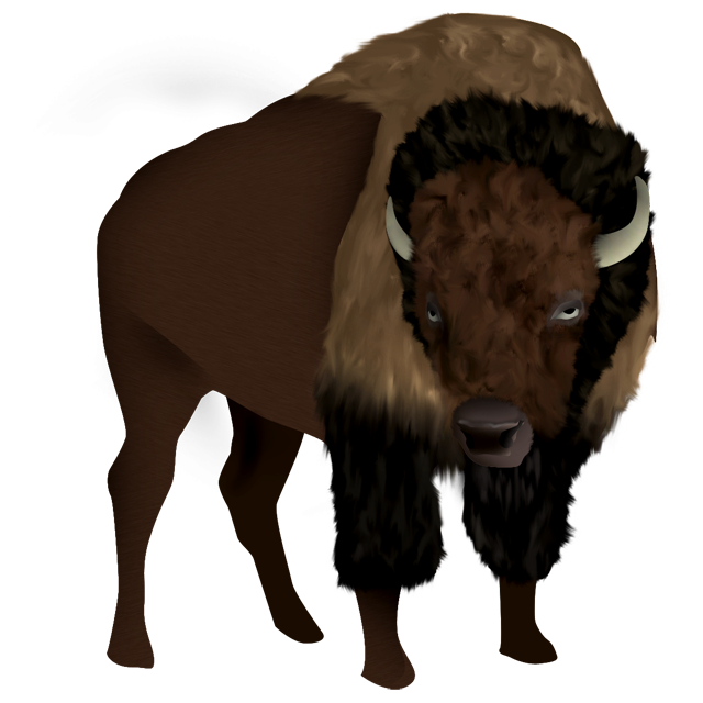 Bison PNG Image
