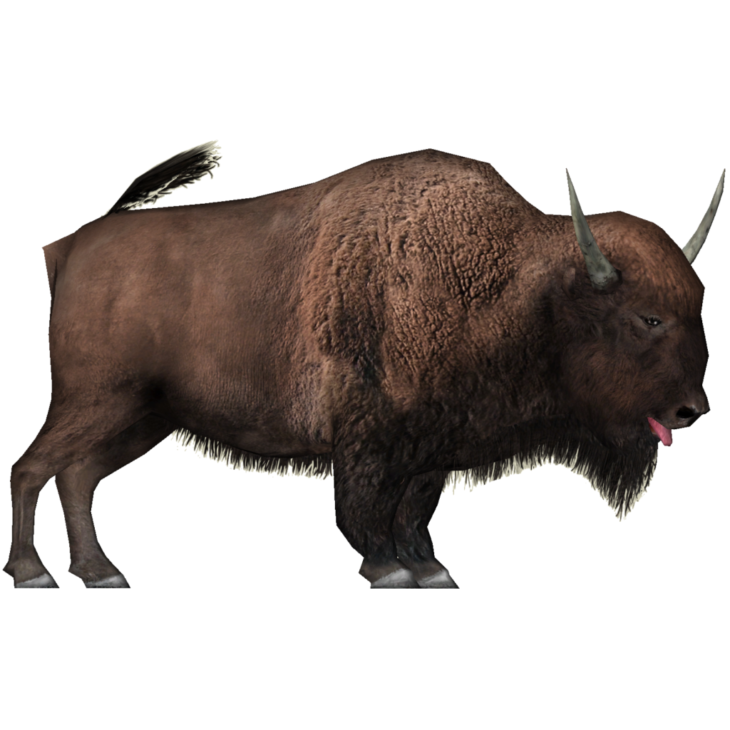 Bison PNG Image