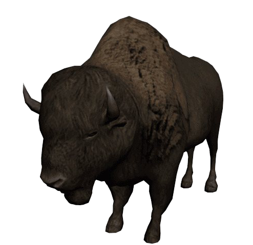 Bison PNG Image